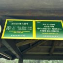 응봉체육공원 | 공공서비스예약으로 이용가능한 대현산배수지 테니스장,응봉공원(주차,코트후기)