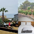 바다 위 언덕 | 서귀포 펜션 바다위언덕 오션뷰 숙박 후기