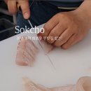 속초회포장