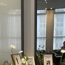 브리즈플라워 이미지