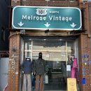 스탠다드옵티크 | 성수 빈티지샵 편집샵 블루앨리펀트 쇼핑추천 8곳