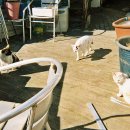 선녀바위로 이미지