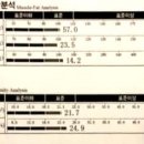 루케테 이미지