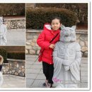 온더덩 이미지