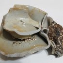 장안동 백자가마터 이미지