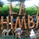 나엘농장 이미지