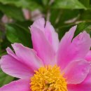 진부농장 이미지