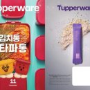 타파웨어 아이비 이미지