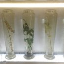 서울약령시장 이미지