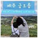 제주소요 | [제주] 금오름 등반 후기, 소요시간, 포토존