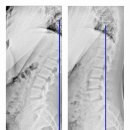 한양마디의원 이미지