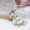 파르크플라워 | 파르크플라워 본식부케 후기｜D65 화이트튤립카라 부케