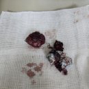 24시 모란동물 메디컬센터 이미지