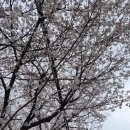 노담지숯불갈비 이미지