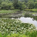 이곡초등학교 이미지