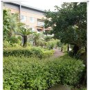 라파요양병원 이미지