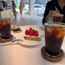 세종코코약국 | [240511-0517] 먹는 주간이 다시 돌아오신 거세요