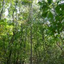 목멱박물관 이미지