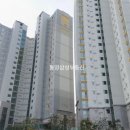 해모로약국 이미지