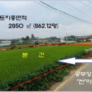 전대초교 Daum카페