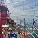 축항대로5 | 인천 쭈꾸미 배낚시 수양호 솔직후기