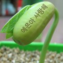 (주)아이디어콩