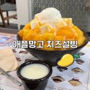 설빙순천대점 | [일상공유] 순천대 설빙 애플망고 치즈설빙 추천 후기