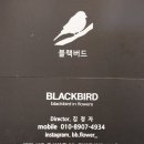 블랙버드플라워