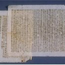 파리장서비 이미지