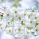 뉴실로암안경 이미지