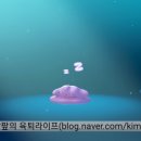 포동 | 포켓몬 포코피아 초반 플레이 후기 | 포동숲