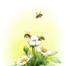 감성테마여행_5월의 좋은 시 선정_찔레꽃 연정_예닮김정숙 이미지