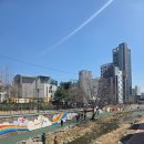 도란도란밥상 | 신설동 맛집 한정식 한상차림밥상 25첩 보쌈정식 후기