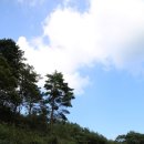 석포농장 네이버블로그