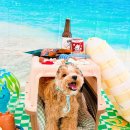 경기도 수원시 장안구 하률로12번길 이미지