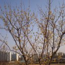 꽃향기어린이집 이미지