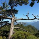 산중문답 이미지