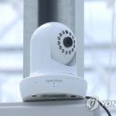 영장농장 이미지