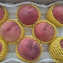여주-0727 네이버블로그