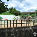 꿈이 자라는 어린이 미술 이미지