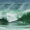 (주)에스비팜 이미지