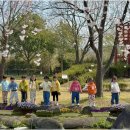 느지매기길 이미지