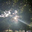 피츠로이가든 | [AUS/멜버른] 12월 호주 여행 07: 패트리샤커피ㅣ칼턴가든 피크닉ㅣ피츠로이 쇼핑