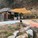 단골언니2