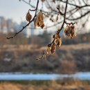 사염공원 티스토리