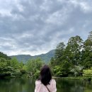 주식회사 대왕민물장어앤숲속의작은세상 | 벤또, 일포르노 델미뇽, 유후인, 무소엔, 도토리의숲, 미르히, 금상고로케, 킨린코 호수, 스누피상점...