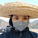 분토농장 이미지