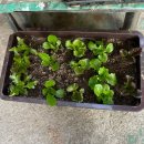 병순농장 이미지