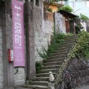 오레노도쿄 이미지