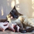 세민약국 이미지